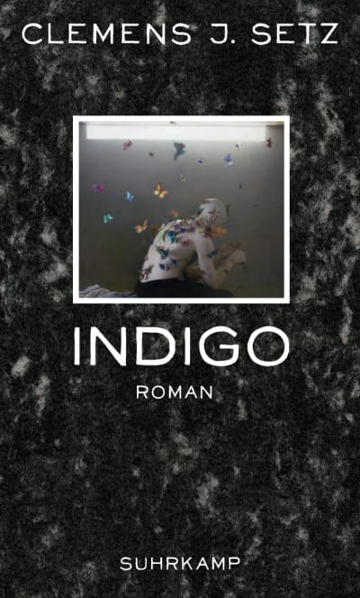 Clemens J. Setz: Indigo (Hardcover, German language, 2012, Suhrkamp)