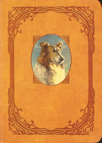 Eric Knight: Lassie Come-Home (Paperback, 2020, Square Fish)