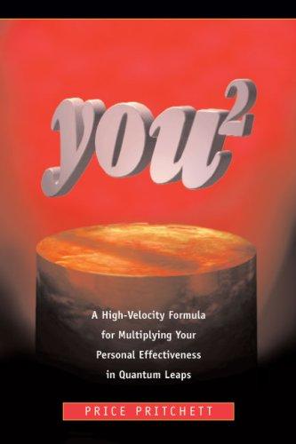 Price Pritchett: You 2 (Paperback, Pritchett & Associates)