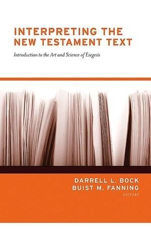 Interpreting the New Testament Text (2006)
