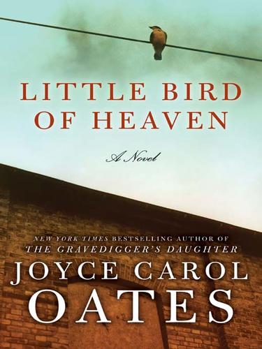 Joyce Carol Oates: Little Bird of Heaven (EBook, 2009, HarperCollins)