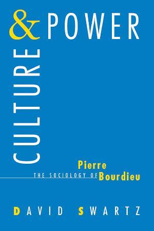 David Swartz: Culture and Power