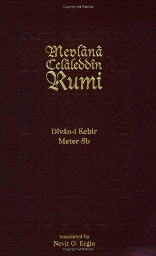 Nevit Ergin: Divan Kebir Meter 8b (Paperback, Maypop Books)