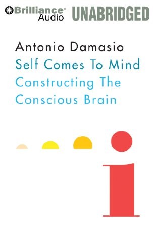 António Damásio: Self Comes to Mind: Constructing the Conscious Brain (Paperback, Pantheon)
