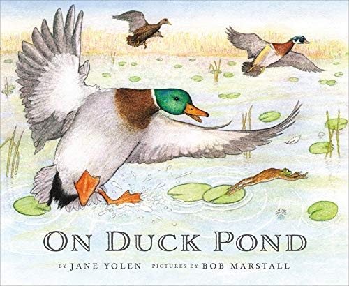 Jane Yolen: On Duck Pond (On Bird Hill and Beyond) (2019, Cornell Lab Publishing Group)