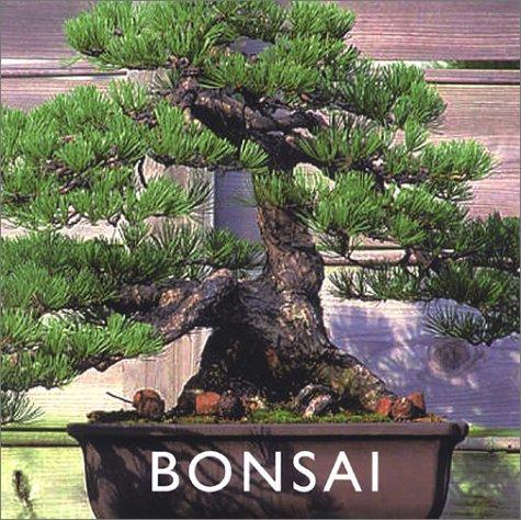 Peter Chan: Bonsai (Hardcover, 2001, Thunder Bay Press (CA))