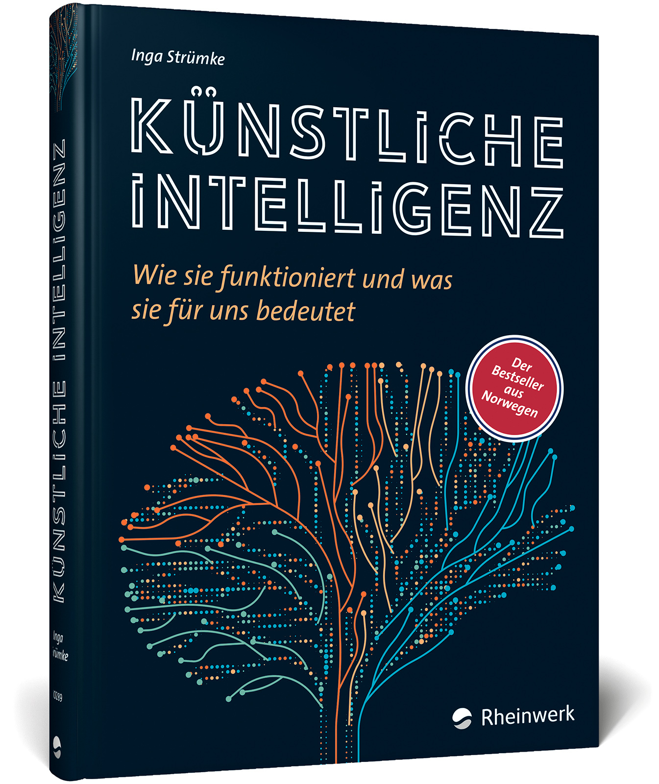Inga Strümke: Künstliche Intelligenz (German language, 2024, Rheinwerk)