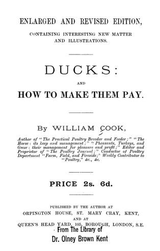 William Cook: Ducks