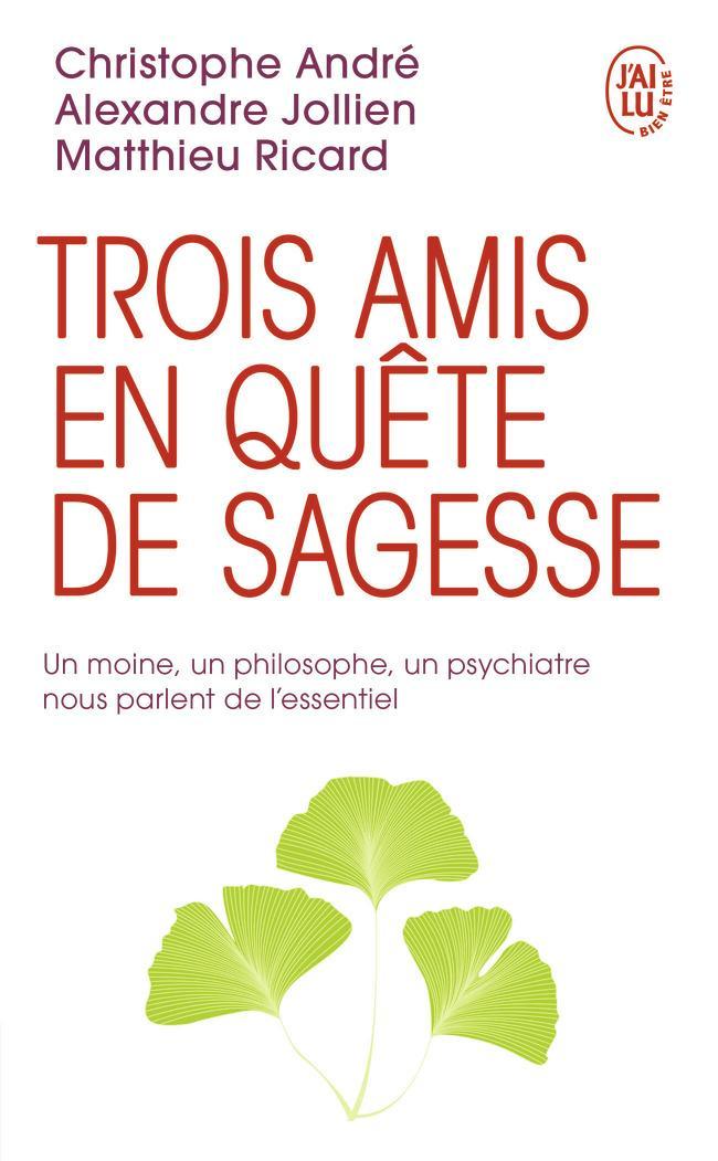 Matthieu Ricard, Alexandre Jollien, Christophe André: Trois amis en quete de sagesse (French language, 2018)