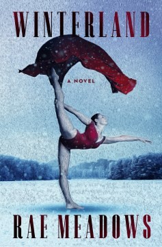 Rae Meadows: Winterland (2022, Holt & Company, Henry)