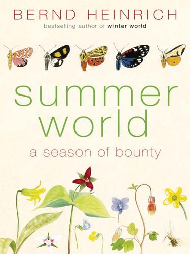 Bernd Heinrich: Summer World (EBook, 2009, HarperCollins)