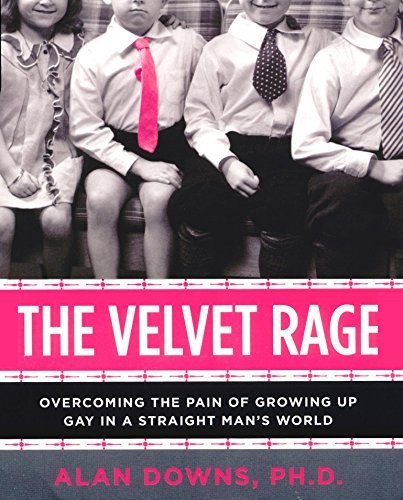 Alan Downs Ph. D., Alan Downs Ph. D.: The Velvet Rage (AudiobookFormat, HighBridge Audio)