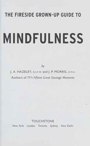 Jason Hazeley, Joel Morris: Fireside Grown-Up Guide to Mindfulness (2016, Touchstone)