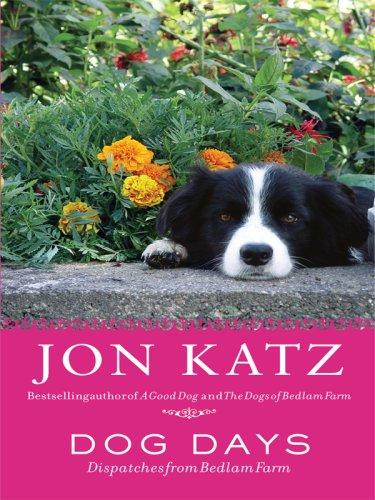 Jon Katz: Dog Days (Hardcover, 2007, Thorndike Press)