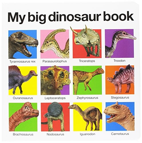 Roger Priddy: My Big Dinosaur Book (Hardcover, Priddy Books US)