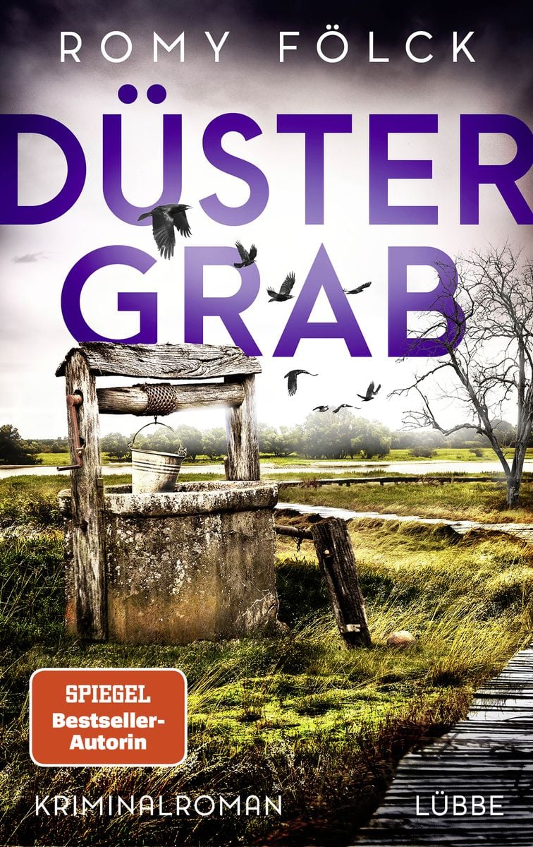 Romy Fölck: Düster Grab (Paperback, German language)