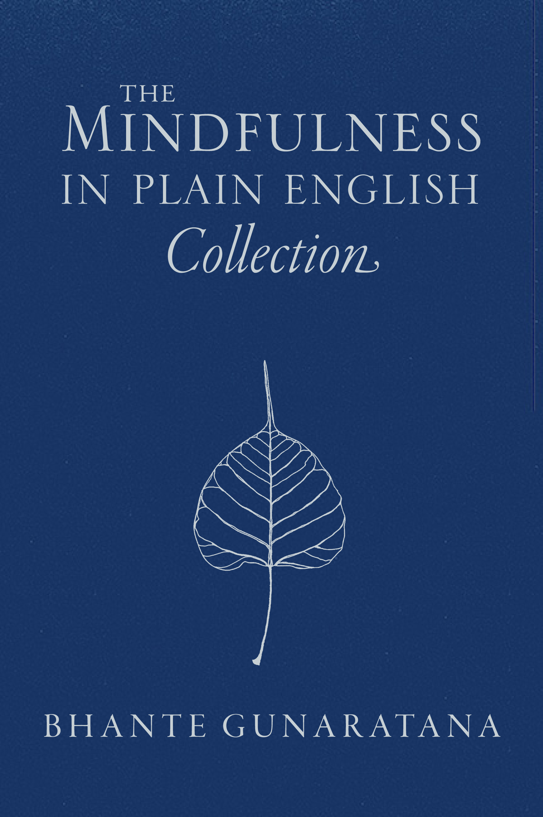 Henepola Gunaratana: Mindfulness in Plain English