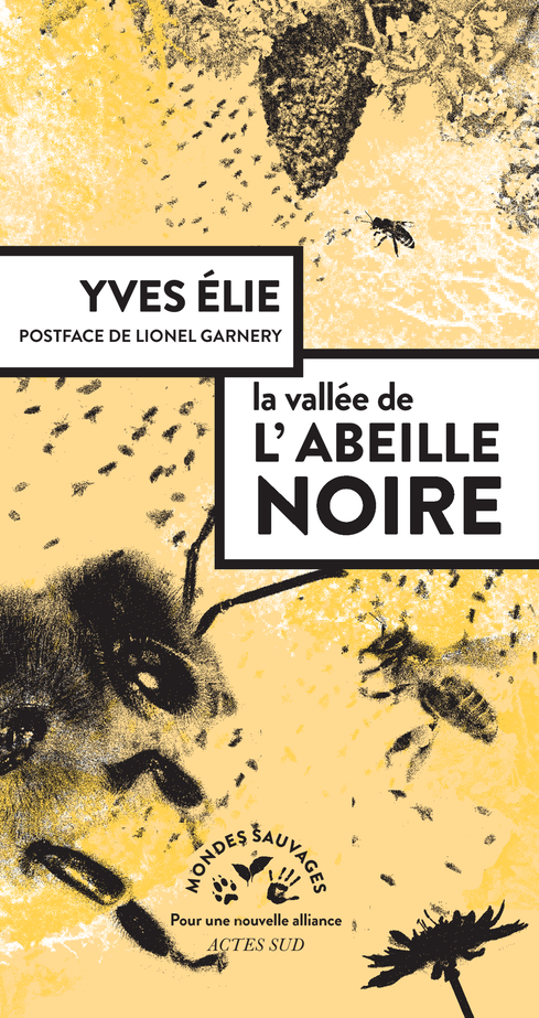 Yves Élie, Yves Élie, Camille Desilles-Laurent, Lionel Garnery: Dans la vallée des abeilles noires (Paperback, French language, Actes Sud)