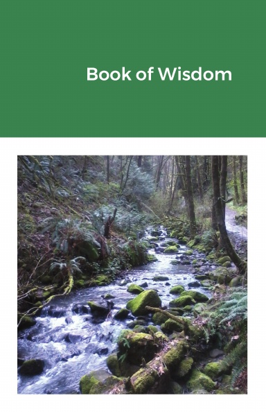 John McLaughlin: Book of Wisdom (Paperback, 2020)