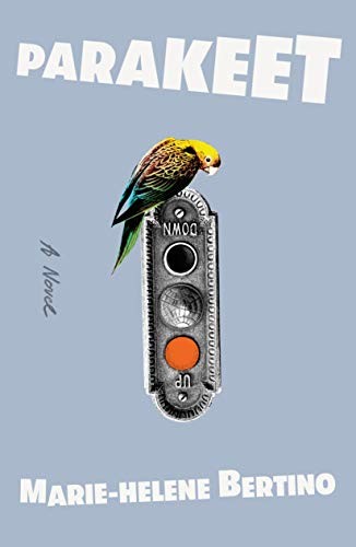 Marie-Helene Bertino: Parakeet (Hardcover, 2020, Farrar, Straus and Giroux)