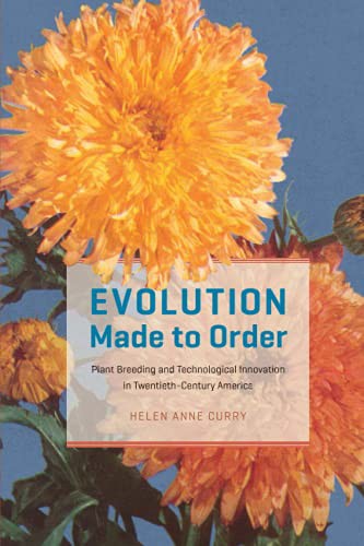 Helen Anne Curry: Evolution Made to Order (Paperback, 2021, University of Chicago Press)