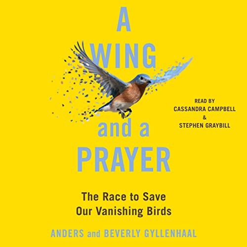 Anders Gyllenhaal, Beverly Gyllenhaal: A Wing and a Prayer (AudiobookFormat, Simon & Schuster Audio and Blackstone Publishing)