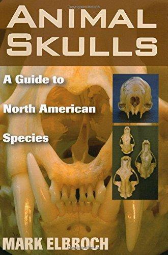 Mark Elbroch: Animal Skulls: A Guide to North American Species (2006)