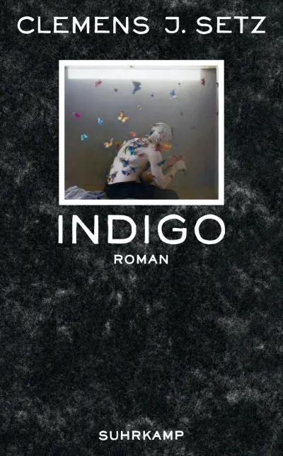 Clemens J. Setz: Indigo (Paperback, 2015, Suhrkamp)