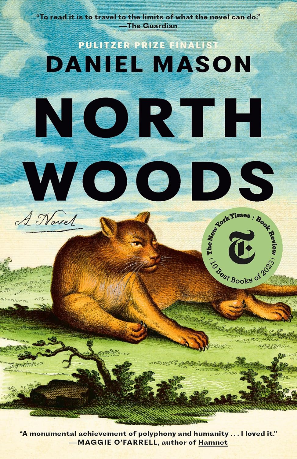Daniel Mason: North Woods (Paperback, 2024, Random House)