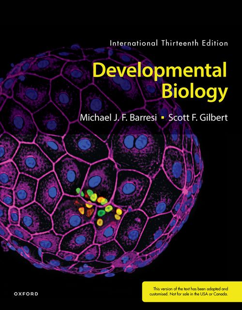 Scott F. Gilbert, Michael J. F. Barresi: Developmental Biology (EBook, Oxford University Press)