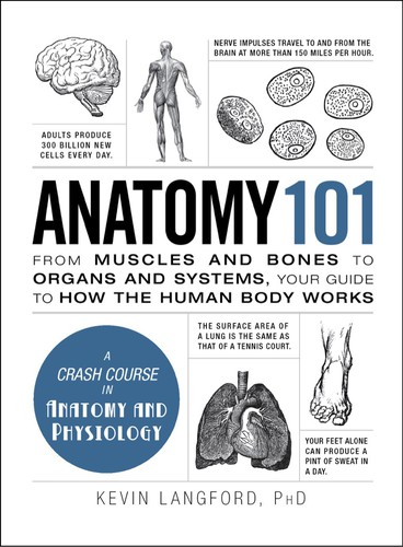 Kevin Langford: Anatomy 101 (EBook, 2015, Adams Media)