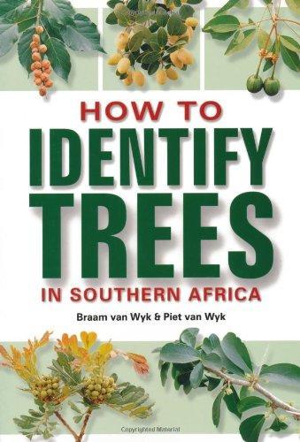 Abraham Erasmus van Wyk: How to identify trees in southern Africa (2007)