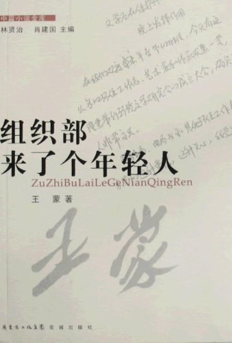 Meng Wang: 组织部来了个年轻人 (Chinese language, 花城出版社)
