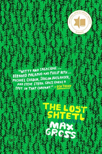 Max Gross: The Lost Shtetl (Paperback, HarperVia)