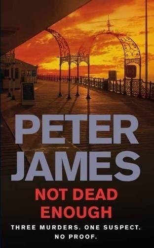 Peter James: Not Dead Enough (Paperback, 2007, Brand: Pan Books, Pan)