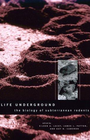 Guy N. Cameron, James L. Patton: Life Underground (Paperback, University Of Chicago Press)