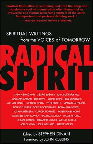 Stephen Dinan: Radical Spirit (Paperback, 2002, New World Library)