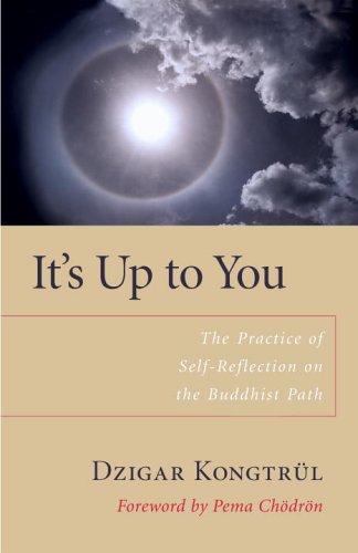 Dzigar Kongtrul, Helen Berliner: It's Up to You (Paperback, Shambhala)