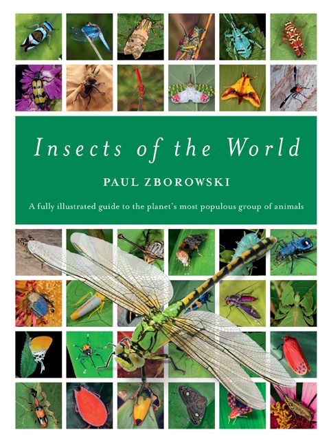 Paul Zborowski: Insects of the World (Hardcover, 2019, Reed New Holland)