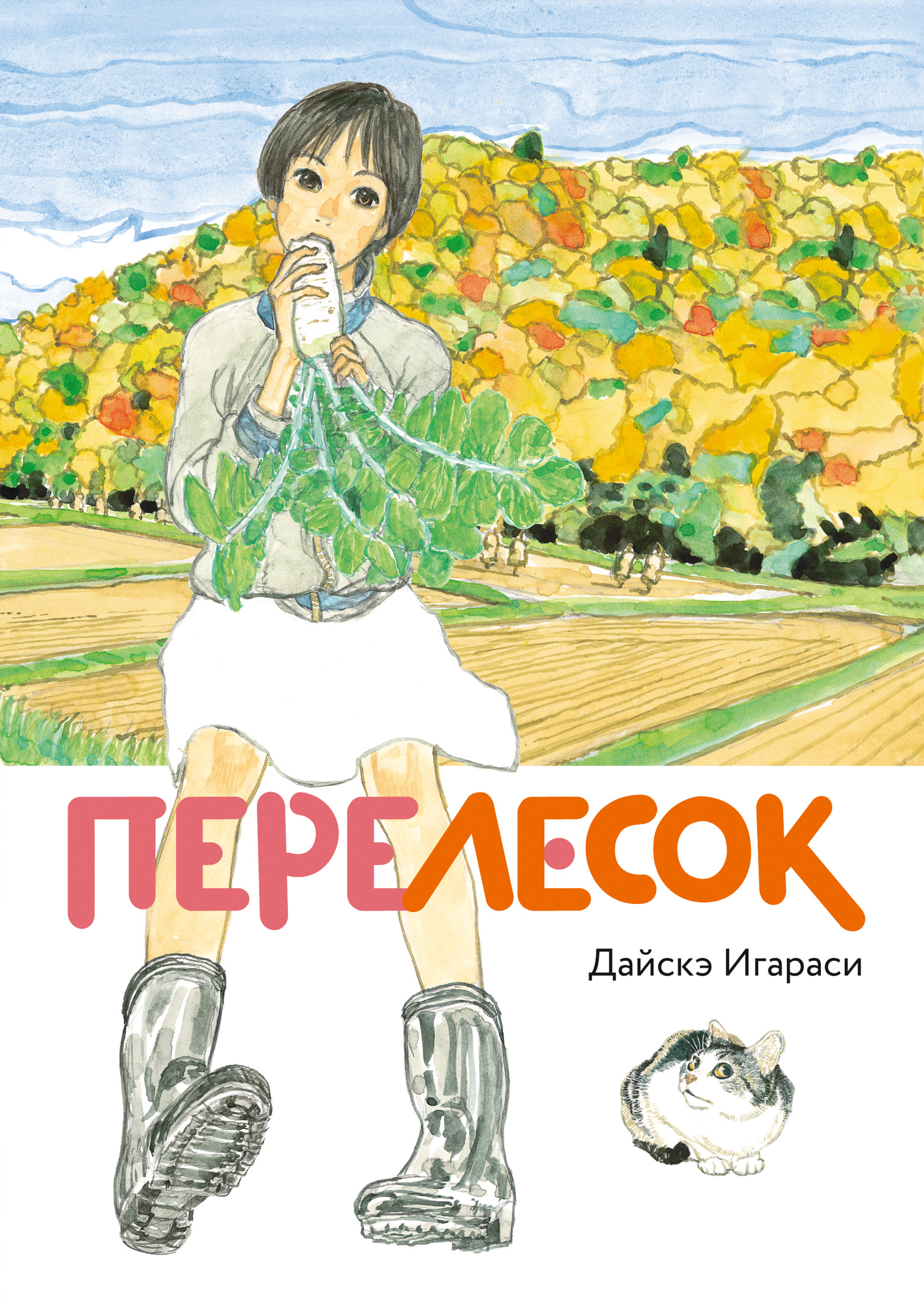 Daisuke Igarashi, Дайскэ Игараси: Перелесок (Hardcover, Russian language, 2021, AltGraph)